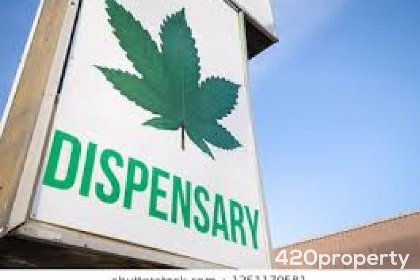 Cannabis Businesses For Sale | Cannabis Retail Stores & Dispensaries For Sale