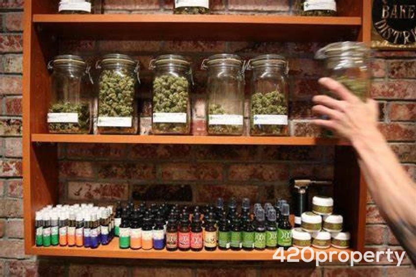 Cannabis Businesses For Sale | Cannabis Retail Stores & Dispensaries For Sale
