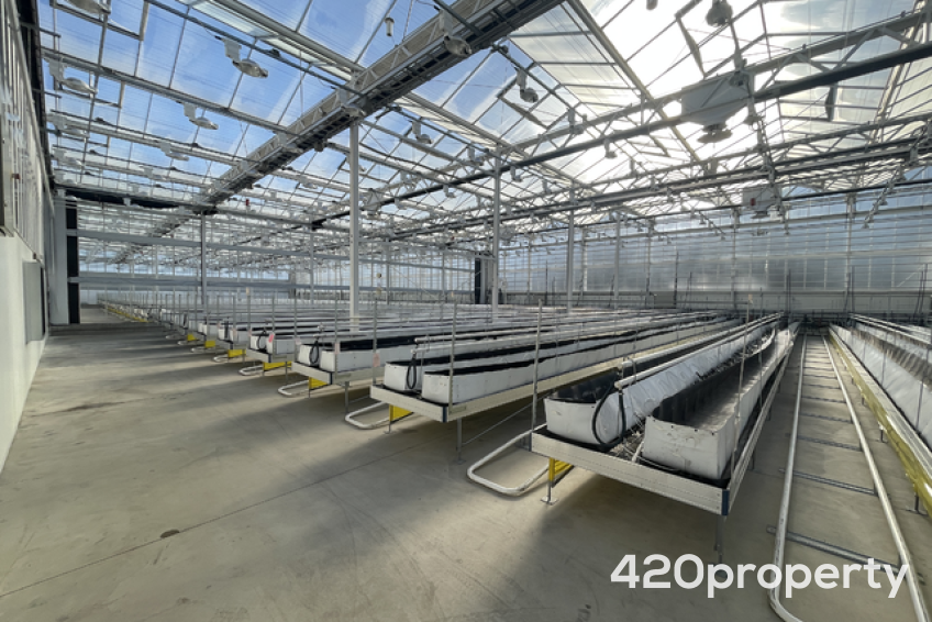 Cannabis & Hemp Industry Joint Venture Opportunities | Cannabis & Hemp Industry Joint Venture Opportunities