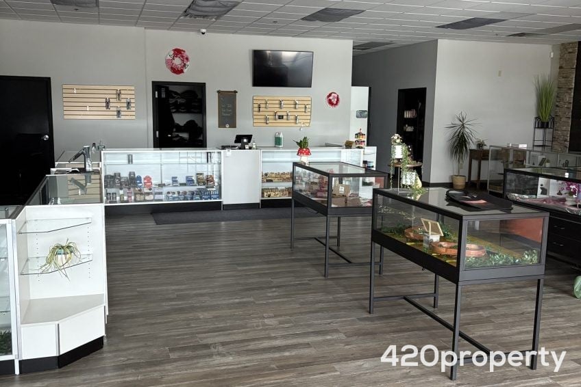 Cannabis & Hemp Industry Joint Venture Opportunities | Cannabis & Hemp Industry Joint Venture Opportunities