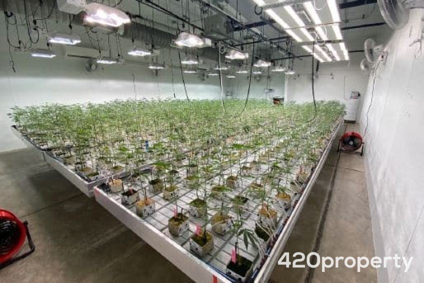 Cannabis Real Estate Listings | Cannabis Warehouses and Industrial Buildings For Sale