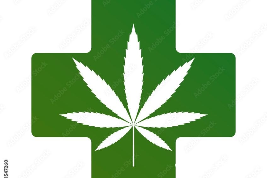 Cannabis Businesses For Sale | Cannabis Retail Stores & Dispensaries For Sale
