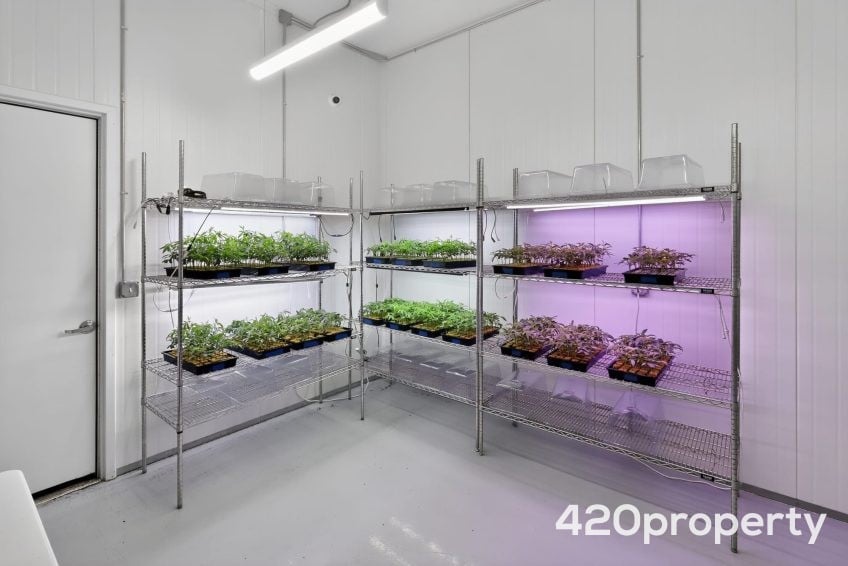 Cannabis Real Estate Listings | Cannabis Greenhouses For Sale