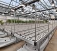 Jackson – Operating Indoor/Greenhouse Cultivation Facility