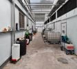Jackson – Operating Indoor/Greenhouse Cultivation Facility