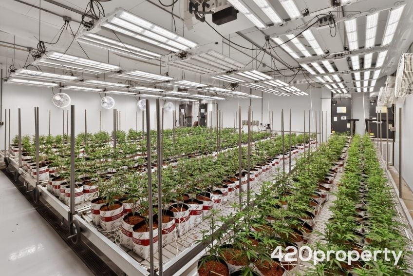 Cannabis Real Estate Listings | Cannabis Greenhouses For Sale