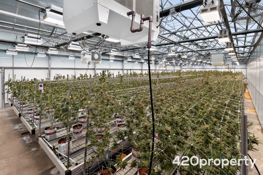 Cannabis Real Estate Listings | Cannabis Greenhouses For Sale