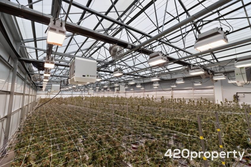 Cannabis Real Estate Listings | Cannabis Greenhouses For Sale