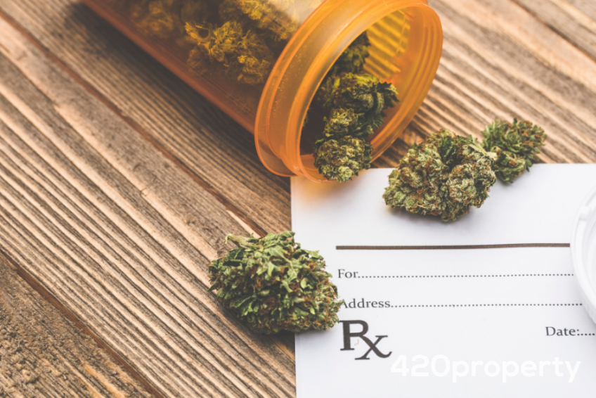 Cannabis Businesses For Sale | Ancillary Cannabis Businesses For Sale