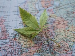 ~32,000 sq. ft. EU-GMP Designed Cannabis & Pharmaceutical Processing Facility for €5M in Germany