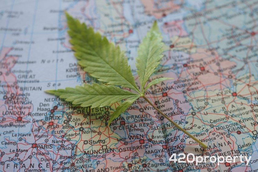 Cannabis Businesses For Sale | Cannabis Manufacturing / Processing Businesses For Sale