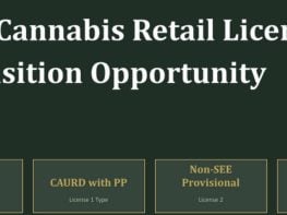 One company with two cannabis retail licenses in Brooklyn NY with great retail location ready to go!
