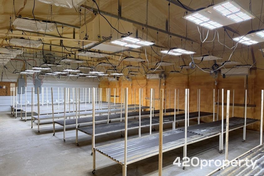Cannabis Businesses For Sale | Cannabis Cultivation/ Grow Businesses For Sale