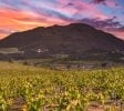 Cannabis Real Estate Listings | Cannabis & Hemp Zoned Land For Sale