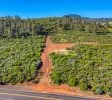 Eden Crest, 70 Acre Red Hills AVA Vineyard, 14.5ac Producing Cabernet, County Approved Cannabis MUP, 480V 3 Phase Power In, Ridge Top