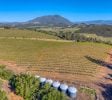 Eden Crest, 70 Acre Red Hills AVA Vineyard, 14.5ac Producing Cabernet, County Approved Cannabis MUP, 480V 3 Phase Power In, Ridge Top