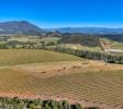 Eden Crest, 70 Acre Red Hills AVA Vineyard, 14.5ac Producing Cabernet, County Approved Cannabis MUP, 480V 3 Phase Power In, Ridge Top