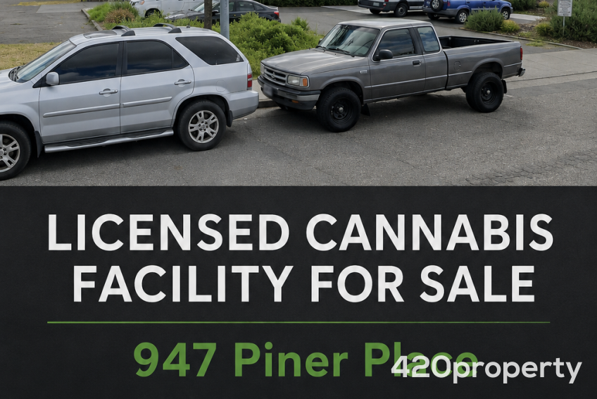 Cannabis Businesses For Sale | Cannabis Business Licenses For Sale