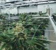 Midwest’s Premier Controlled Environment Agricultural Facilities – Energy efficient