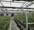 Midwest’s Premier Controlled Environment Agricultural Facilities – Energy efficient