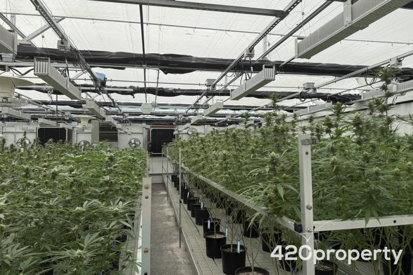 Cannabis Real Estate Listings | Cannabis Greenhouses For Sale