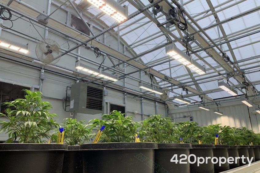 Cannabis Real Estate Listings | Cannabis Greenhouses For Sale
