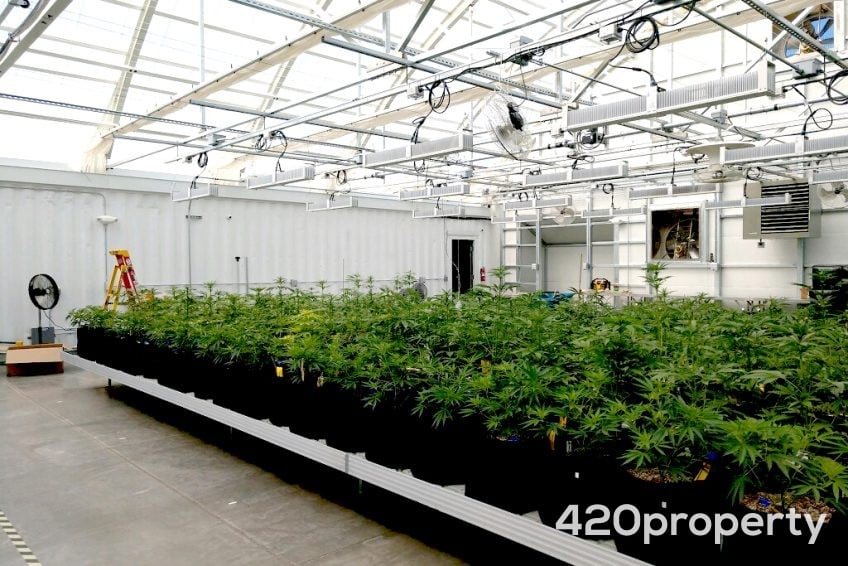 Cannabis Real Estate Listings | Cannabis Greenhouses For Sale