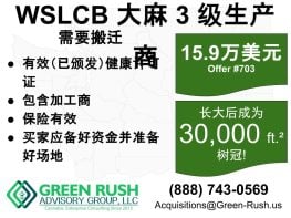 WSLCB 第三级大麻生产商/加工商许可证出售，编号 703