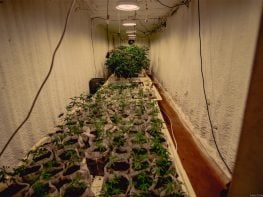 🌿 MEDICAL GROW PROPERTY FOR SALE — Southeastern Oklahoma 🌿 Minutes from the Texas border