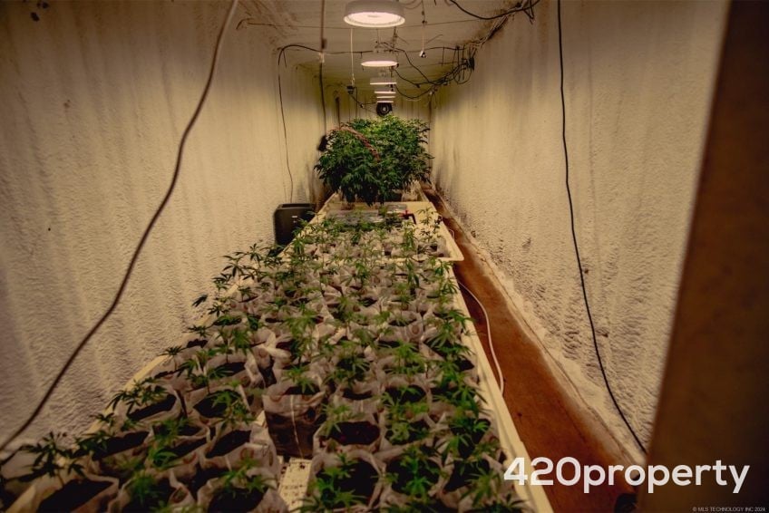 Cannabis Real Estate Listings | Other Commercial Properties for Cannabis Business Use For Sale
