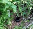 Cannabis Real Estate Listings | Cannabis & Hemp Zoned Land For Lease