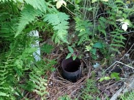 10+ acres available for Hemp or Cannabis Growth