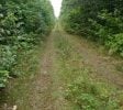 10+ acres available for Hemp or Cannabis Growth