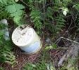 10+ acres available for Hemp or Cannabis Growth