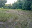 10+ acres available for Hemp or Cannabis Growth
