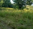 10+ acres available for Hemp or Cannabis Growth