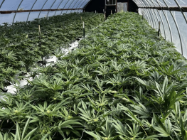 PRICE REDUCED | Humboldt County Mixed-Light Cultivation + Real Estate Included | $499K (Humboldt County, California) #2094