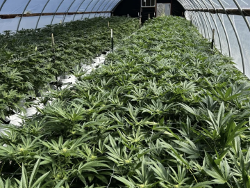 PRICE REDUCED | Humboldt County Mixed-Light Cultivation + Real Estate Included | $499K (Humboldt County, California) #2094