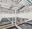 Production – Real Estate – Eugene
