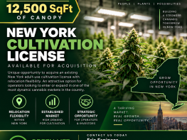 New York Tier 2 Mixed Light Cultivation 12,500 SqFt Canopy Portable License For Sale (New York, USA) #2095