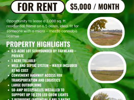 CANNABIS OUTDOOR GROW SITE / HECTOR MN / RENVILLE COUNTY