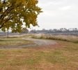CANNABIS OUTDOOR GROW SITE / HECTOR MN / RENVILLE COUNTY