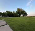 CANNABIS OUTDOOR GROW SITE / HECTOR MN / RENVILLE COUNTY