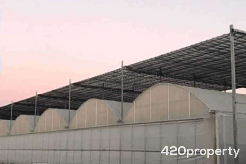 Cannabis Real Estate Listings | Cannabis Greenhouses For Sale