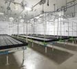 Cannabis Real Estate Listings | Other Commercial Properties for Cannabis Business Use For Sale