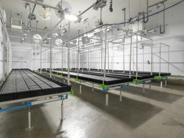 Commercial Cannabis Grow Facility