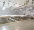 Commercial Cannabis Grow Facility