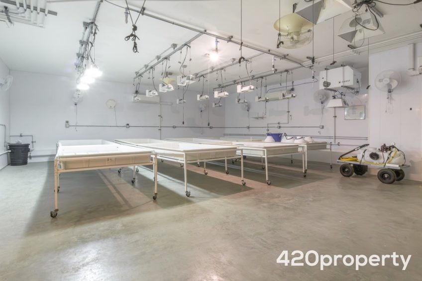 Cannabis Real Estate Listings | Other Commercial Properties for Cannabis Business Use For Sale