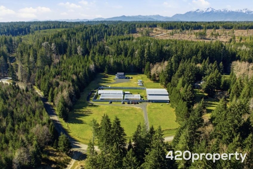 Cannabis Businesses For Sale | Cannabis Cultivation/ Grow Businesses For Sale