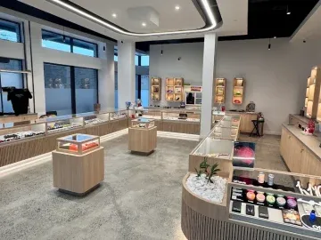 Brooklyn Cash Flowing Dispensary